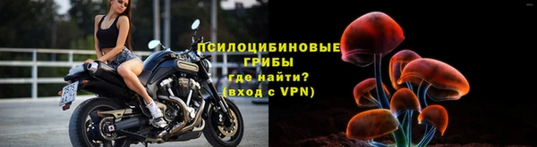 2c-b Абинск