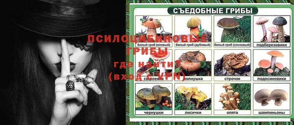 не бодяженный Абаза