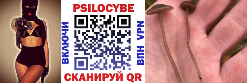 Псилоцибиновые грибы мухоморы  Ленинградская 